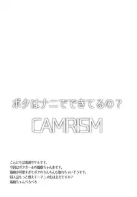 (C89) [Camrism (Kito Sakeru)] Boku wa Nani de Dekiteru no? (Boku Girl)