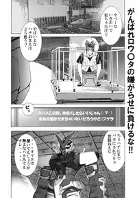 (C66) [2CV.SS Yoshimitu Asagi (Asagi Yoshimitsu)] Dengeki Juujo 4. 1/2 | Den Geki Gun Onna (Full Metal Alchemist)