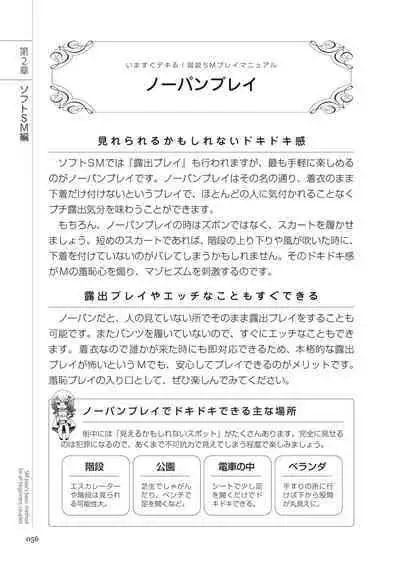 いますぐデキる 図説SMプレイマニュアル