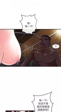 母豬養成計畫【中文】