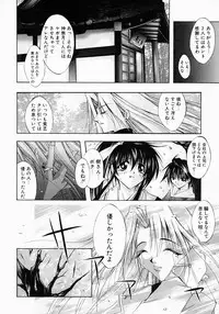 [Inui Sekihiko] Fiesta!!