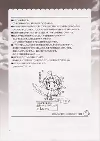 (C64)[AKABEi SOFT (Alpha)] Yuri Summer Paradise (King of Fighters)