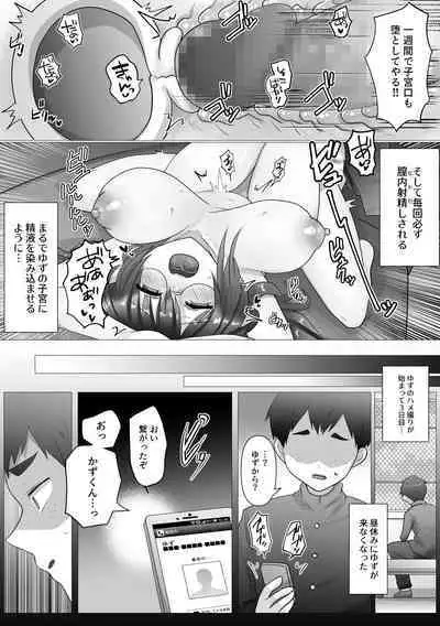 Osananajimi no Ochiru Sugata o Miteita