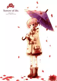 (COMIC1☆4) [CHRONOLOG (Sakurazawa Izumi)] LOVER SOUL PINK (Gintama)