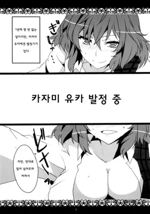 Kazami Yuuka Hatsujouchuu