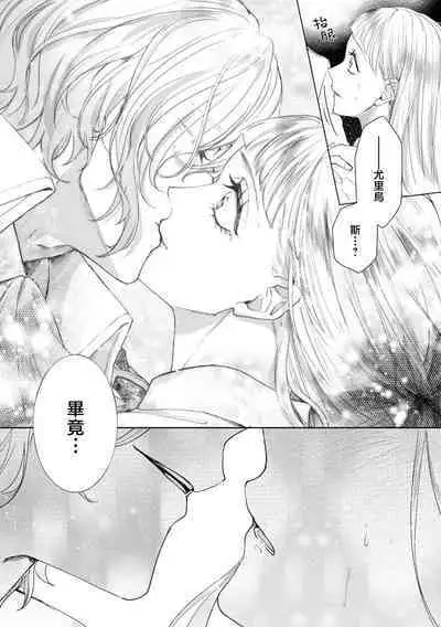 bōkoku no hime wa saigo no kishi to kyōsei-teki ni tsugai ni sa se rareru | 亡国的公主被强制许配给了最后的骑士