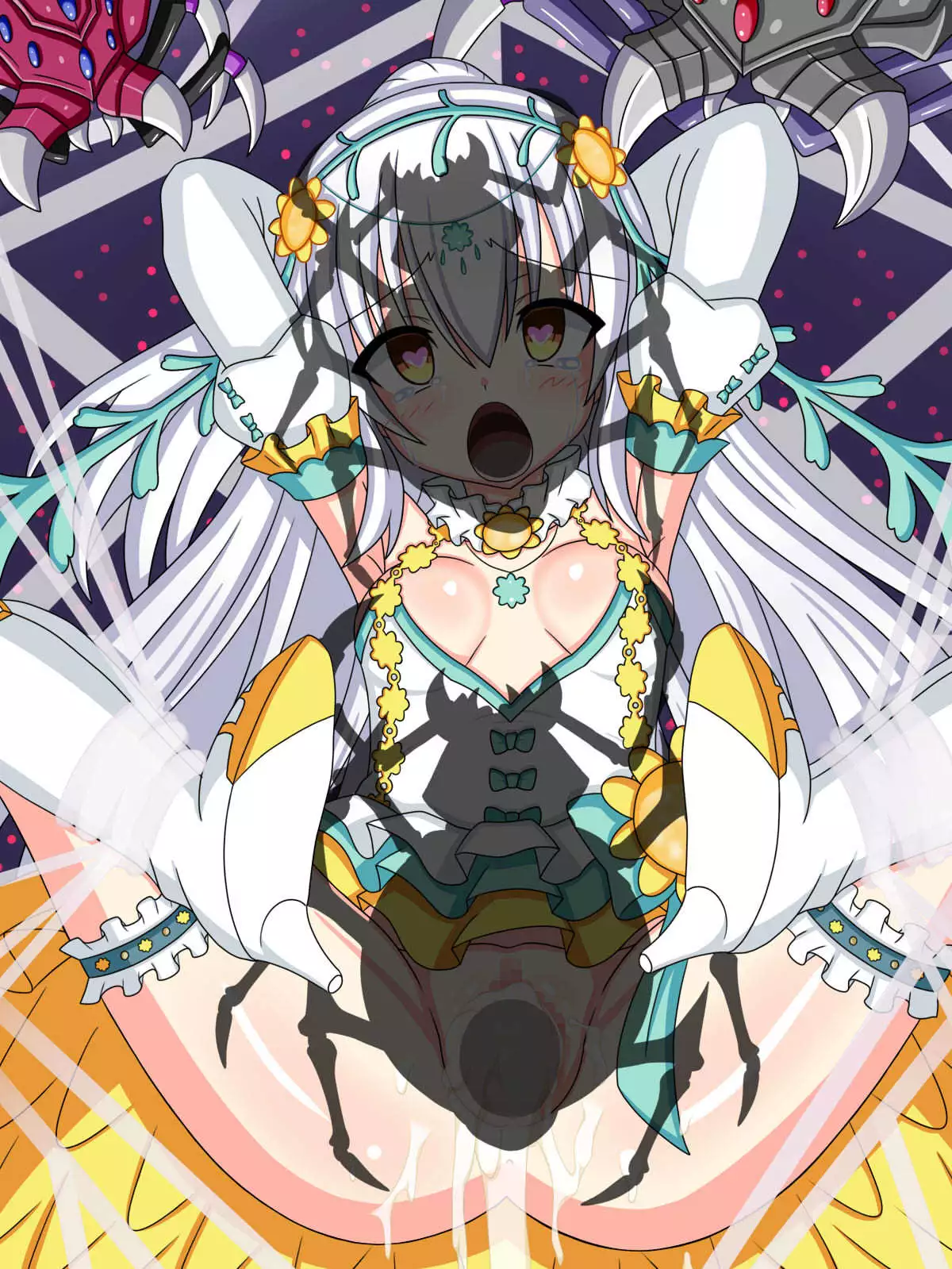 "Hanazono no Seiya" Shirotaegiku