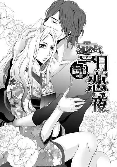 Aigan Neko no Yuuwaku