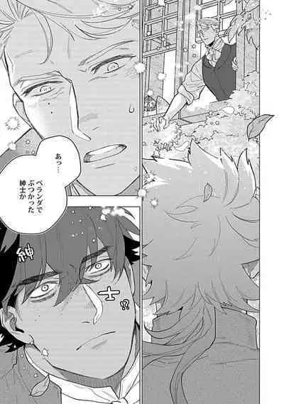 Hoshikuzu no Debutante