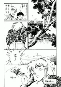 [Shibata Masahiro] Nano Sector