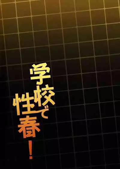 (C103) [OTOMEKIBUN (Sansyoku Amido.)] Gakkou de Seishun! 19