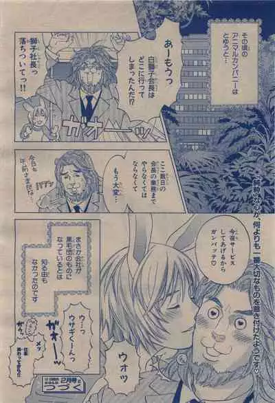 BE・BOY GOLD 2009-12