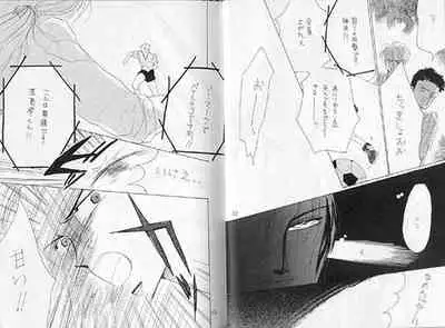 (C36) [Doll (Ozaki Minami)] Gekiretsu (Captain Tsubasa)