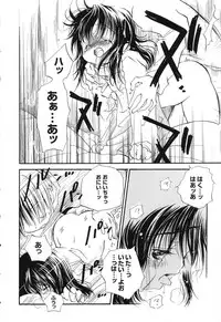 [Anthology] Pure Petit Vol. 15