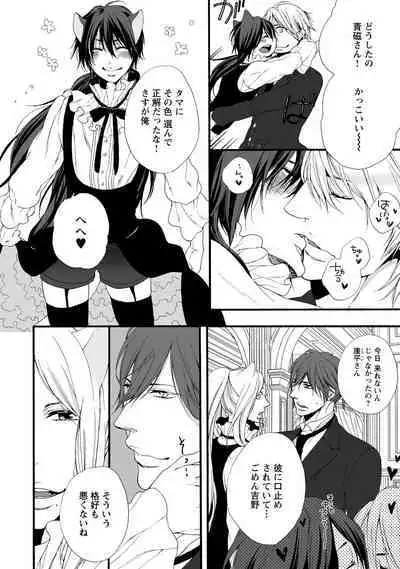 Aigan Neko no Yuuwaku