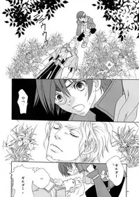 (C78) [Article 60 of Criminal Code (Shuhan)] Dianthus. EA02 (Skies of Arcadia)