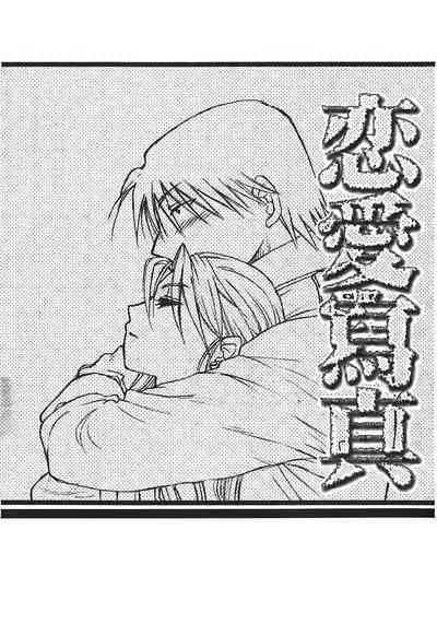 Fullmetal Alchemist 6