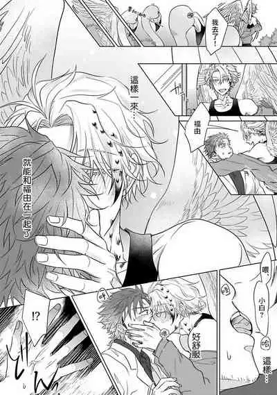 Fukurou no Koiwazurai | 猫头鹰的相思病