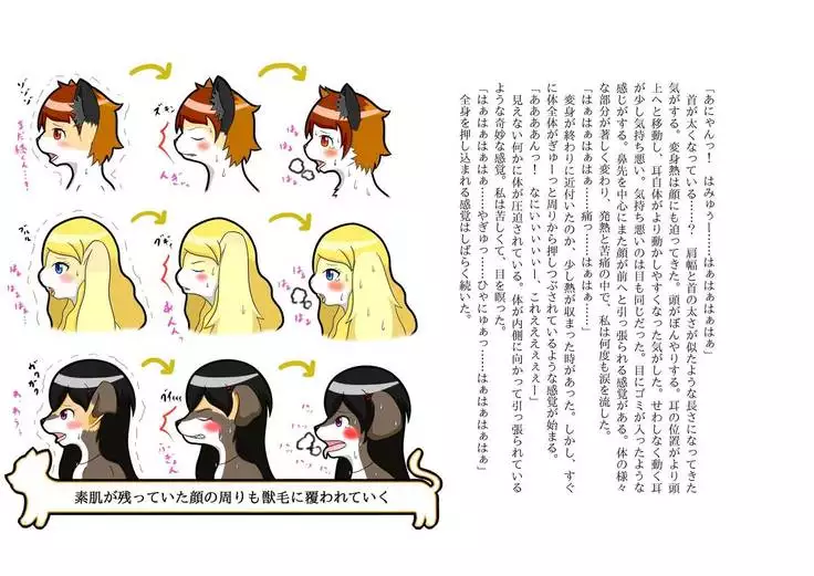 Kemo tan 1＠J-Chimera