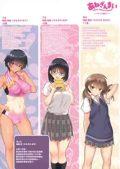 (C96) [clesta (Cle Masahiro)] CL-orc 01 Ane Zanmai - Three sister's harem [Chinese] [無邪気漢化組] [Decensored]