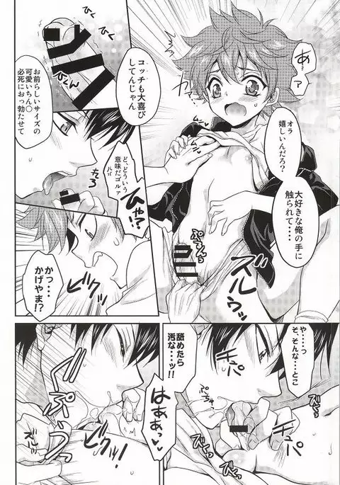 Hinata-kun no Okiniiri