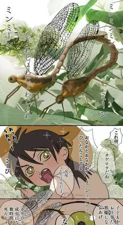 Tajuu Jinkaku × Seishinkai × Kankin