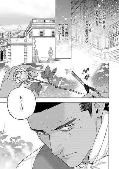 Hoshikuzu no Debutante