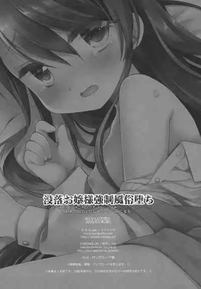 Botsuraku Ojou-sama Kyousei Fuuzoku Ochi