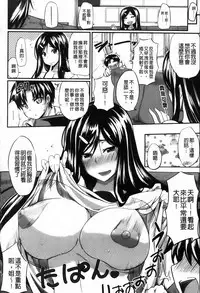 [Fue] フェラピュア[chinese]