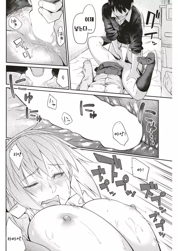 Transmission | 트랜스미션