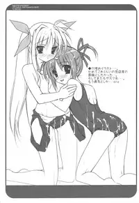 (C75) [Parufe (Hayashi Sakura)] Binde Liebe (Mahou Shoujo Lyrical Nanoha)