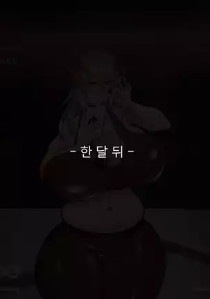 암컷타락 사리아