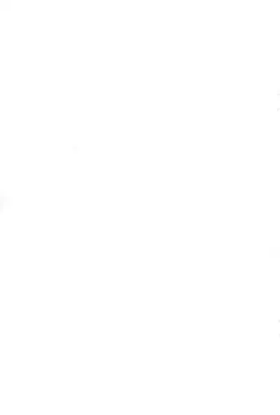 (Lyrical Magical 2) [SimpleClass (Shinozuki Kou)] Donmai. (Mahou Shoujo Lyrical Nanoha)