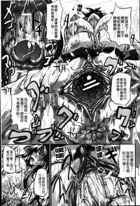 [Fue] フェラピュア[chinese]