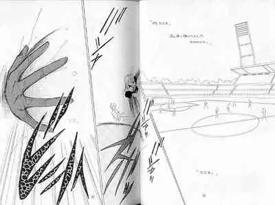 (C36) [Doll (Ozaki Minami)] Gekiretsu (Captain Tsubasa)