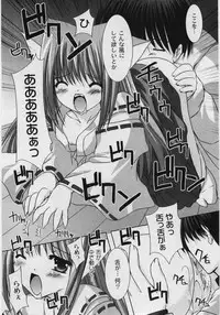 [ShikigamiAzuma]God Chome cat