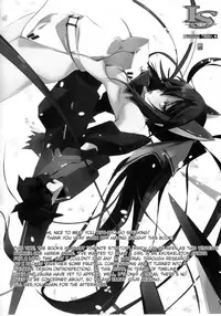 (SC50) [RYU-SEKI-DO (Nagare Hyo-go)] LS Lovers Striker (IS <Infinite Stratos>) [English]