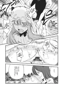 (Reitaisai 10) [Shironegiya (miya9)] Donten Library (Touhou Project)