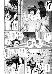 COMIC AUN 2005-10 Vol. 113