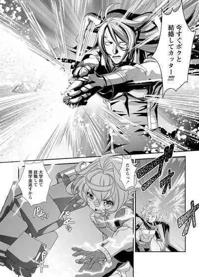 Denki Sentai Briders