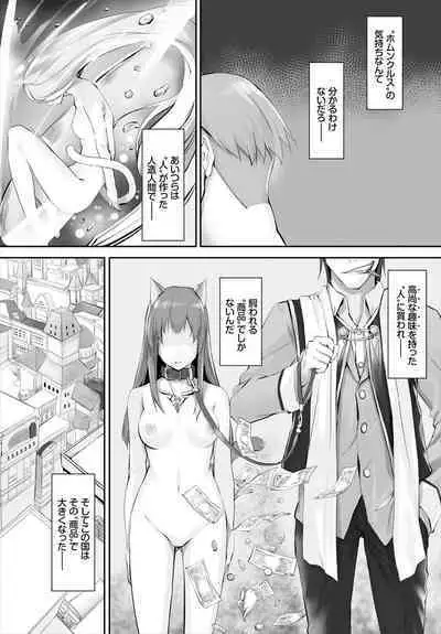 [Kyougoku Touya] Orokamono wa Nekomimi Dorei ni Izon suru ~Hajimete no Choukyou Seikatsu~ 01-27