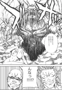 (C75) [Akai Tsubasa, 50BMG (Tachibana Chata, Shindou Nobumichi)] LOVE FOOL.09 (Final Fantasy XI)