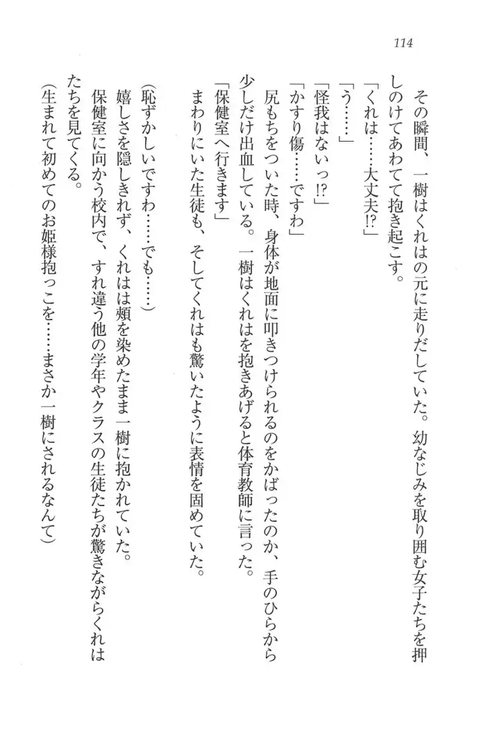 お嬢様はメイド様!？