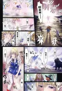 (C88) [STUDIO PAL (Nanno Koto)] Other Zone 5 ~Nishi no Majo~ (Wizard of Oz) [Chinese] [坏人卡]