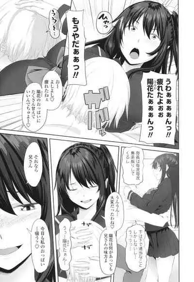 Onii-chan no H na Otoshikata