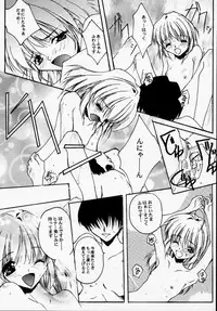 (CR28) [RYU-SEKI-DO (Nagare Hyo-go)] Geschwister (Sister Princess)