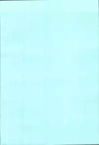 [Nyanko MIC] Chiccha na Hiketsu