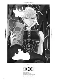 (SPARK10) [F.O.F (Yukowa(kari))] Aka to Ao no Akuma | 赤色与青色的恶魔 (Fate/stay night) [Chinese] [冬木守護者漢化組]