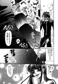 COMIC XO 2006-07 Vol. 2