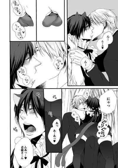 Aigan Neko no Yuuwaku